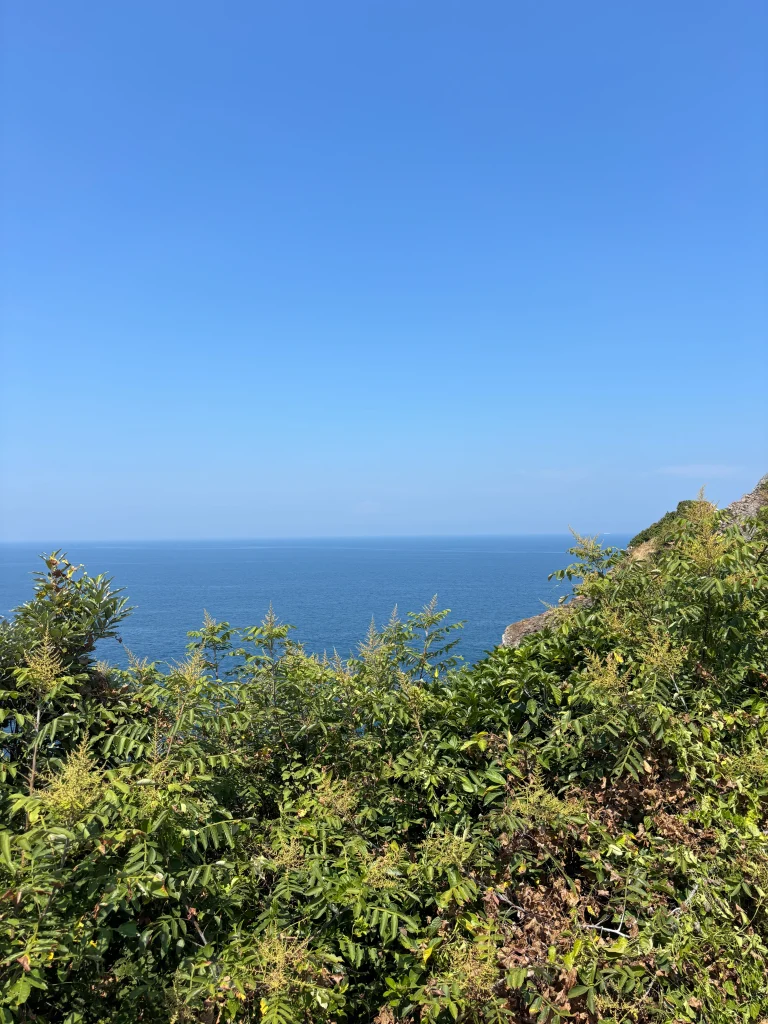 糸島のトトロの森の展望台から見える海